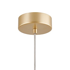 Подвесной светодиодный светильник Favourite Asterismo 4448-2P 4