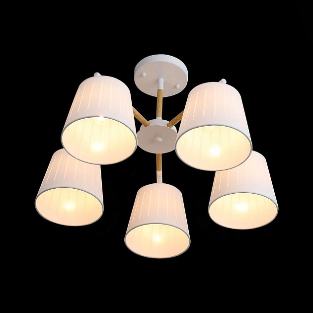 Потолочная люстра Evoluce Passeto SL375.502.05 изображение 3 Потолочная люстра Evoluce Passeto SL375.502.05 Фото № 3