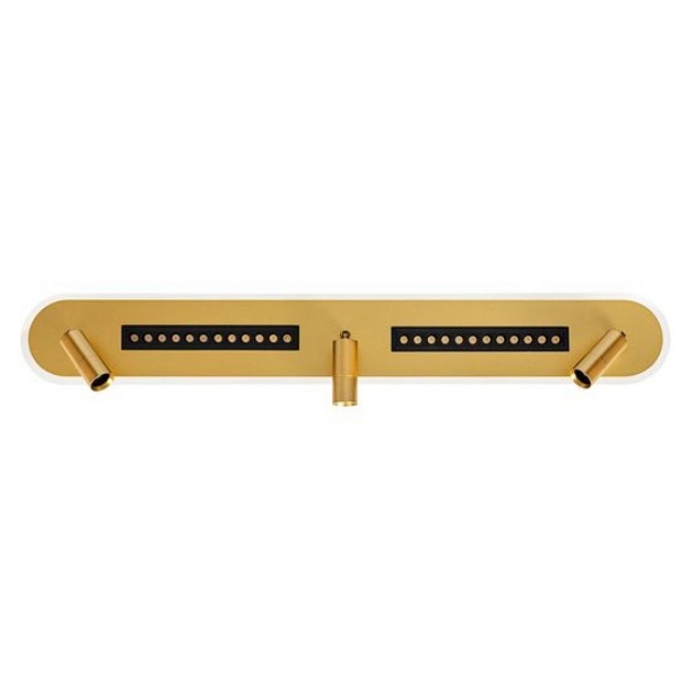 Светодиодный спот Arte Lamp Pisces A2220PL-3GO Фото № 1