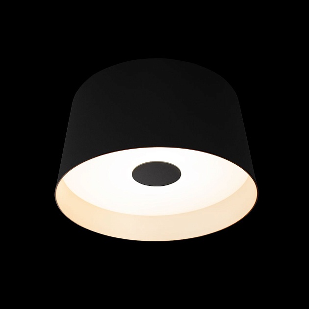 Потолочный светодиодный светильник Loft IT Duo 10360S Black изображение 3 Потолочный светодиодный светильник Loft IT Duo 10360S Black Фото № 3