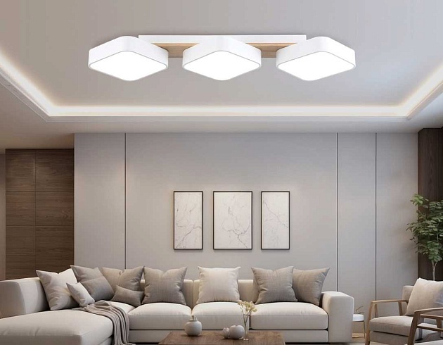 Светильник потолочный Ambrella light COMFORT FL4877 изображение 6 Светильник потолочный Ambrella light COMFORT FL4877 Фото № 6