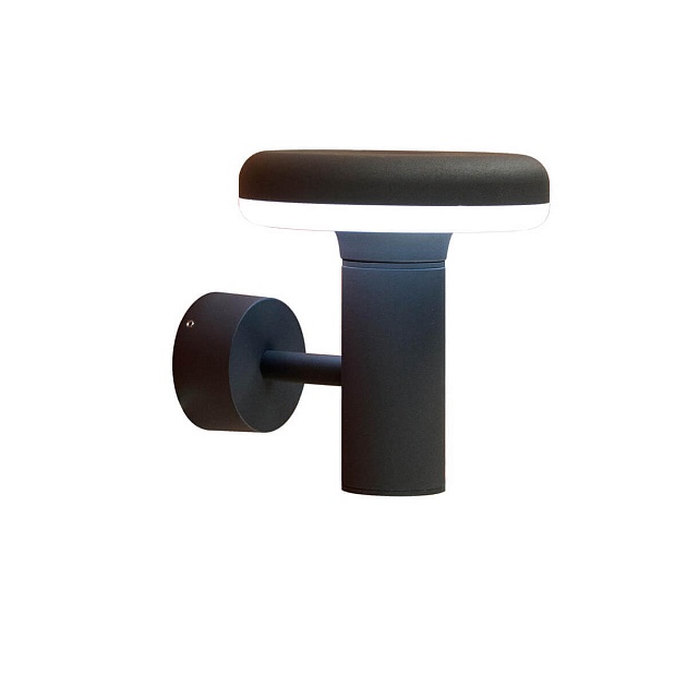 Уличный настенный светодиодный светильник Citilux CLU01W Фото № 1