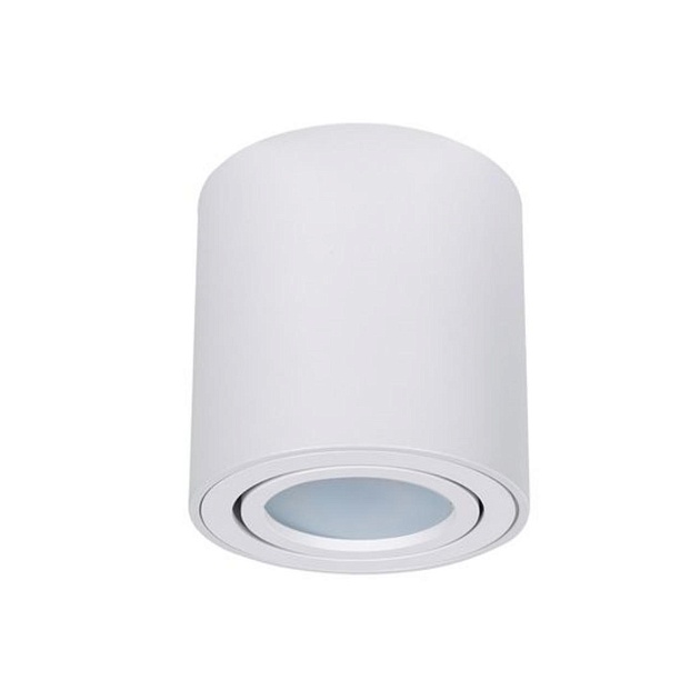 Потолочный светильник Arte Lamp Beid A1513PL-1WH Фото № 1