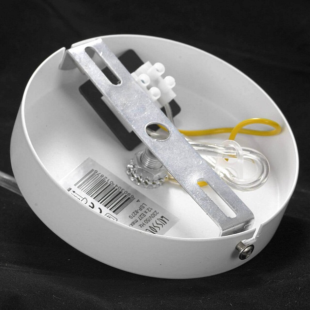 Подвесная люстра Lussole Lgo Kenner LSP-8270 Фото № 2