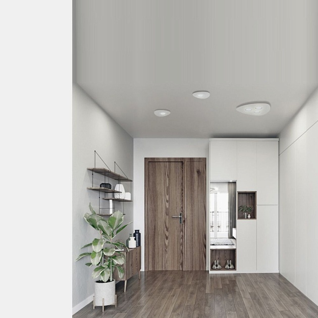 Потолочный светильник Nowodvorski Organic 8305 Фото № 3