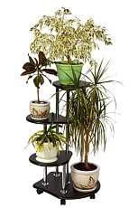 Подставка для цветов Калифорния Троечка венге 5695716606 2