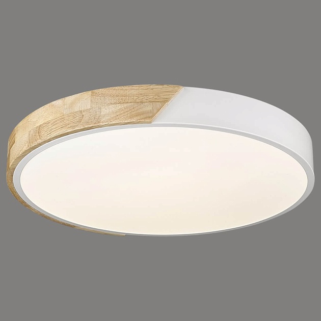 Потолочный светодиодный светильник Velante 445-027-01 Фото № 1