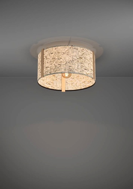 Потолочный светильник Eglo Hontongas 390322 Фото № 2