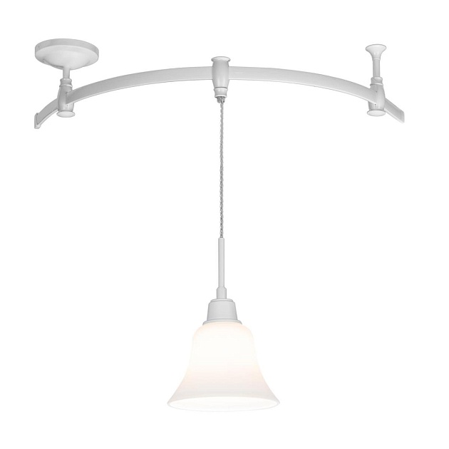 Трековый светильник Citilux Модерн CL560210 Фото № 1