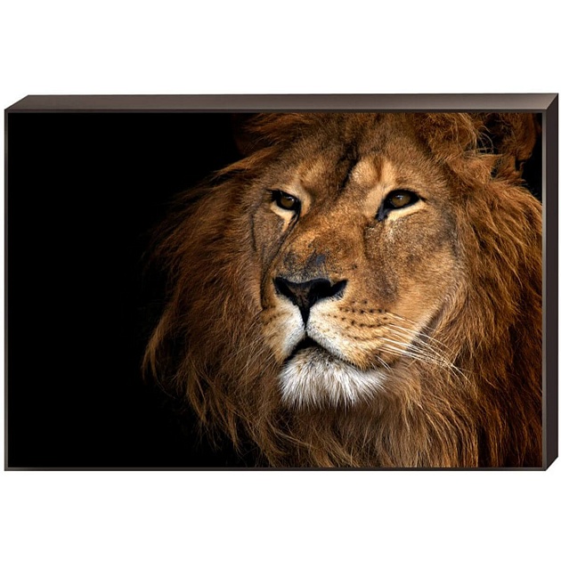 Постер на подрамнике Toplight 60x90х4см TL-D4042 Фото № 1