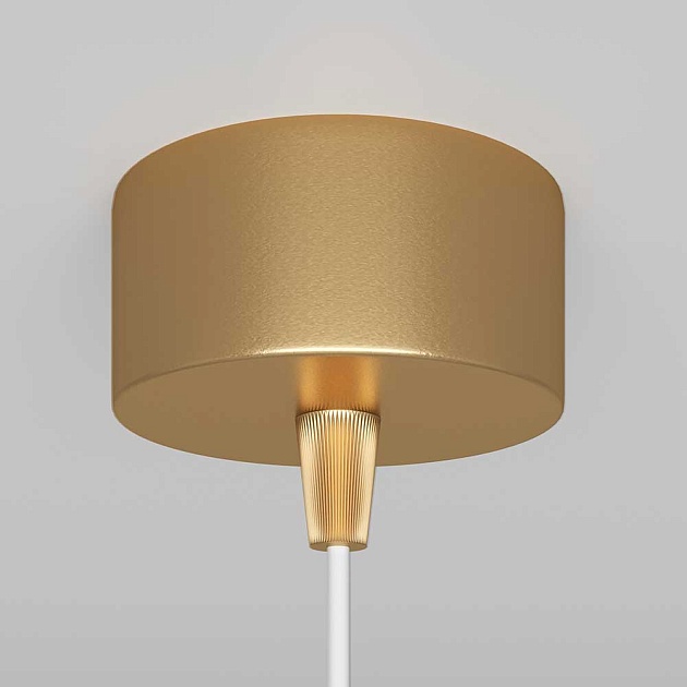 Подвесной светильник Maytoni Technical Focus P075PL-01MG Фото № 4