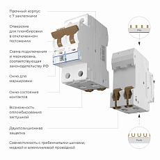 Автоматический выключатель Werkel 2P 10А C 4,5кА W902P104 4690389192609 1