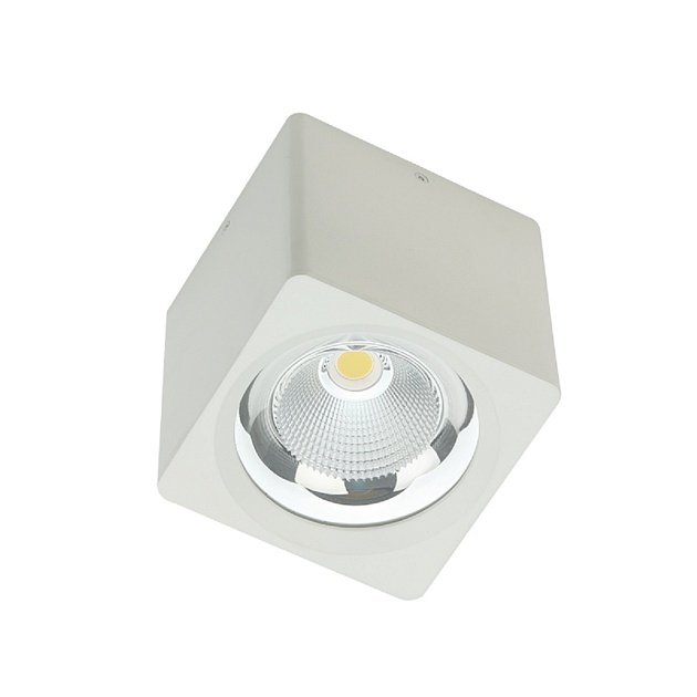 Потолочный светодиодный светильник Fiberli CH-SD220-1 12120103 Фото № 1
