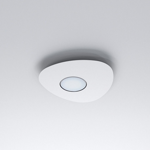 Потолочный светильник Nowodvorski Organic 8305 Фото № 2