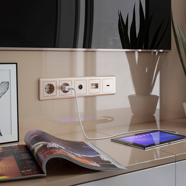 ТВ-розетка оконечная Werkel шампань рифленый W1183010 4690389160639 Фото № 3