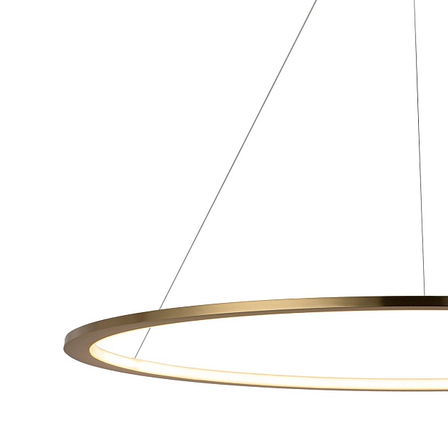 Подвесной светодиодный светильник Loft IT Ring 10014XL Фото № 2