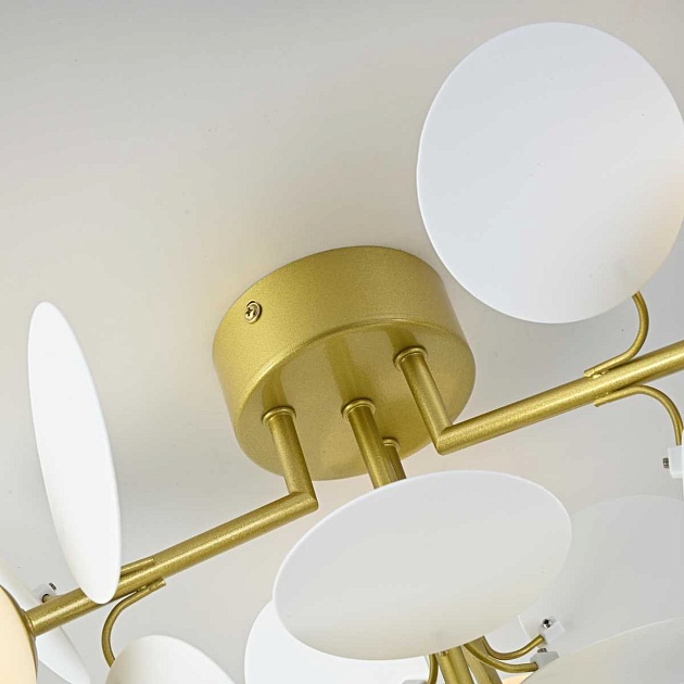 Потолочная люстра Imperium Loft Matisse 167195-26 Фото № 10