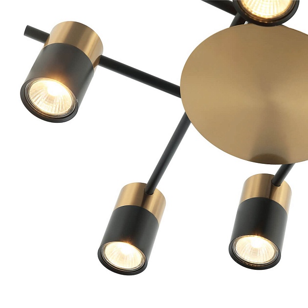 Потолочная люстра Favourite Topper 2825-8P изображение 4 Потолочная люстра Favourite Topper 2825-8P Фото № 4