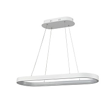 Подвесной светильник Vele Luce Latte VL7121P09 1