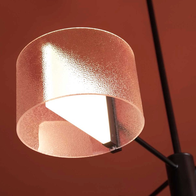 Потолочный светильник Freya FR5541CL-L30B Фото № 5