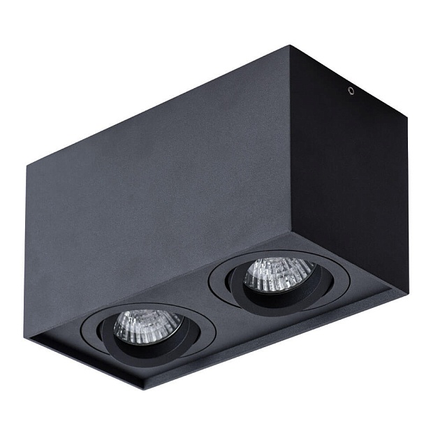 Потолочный светильник Arte Lamp Factor A5544PL-2BK Фото № 1