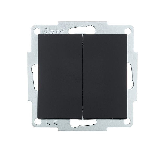 Выключатель двойной Lezard Vesna черный 742-4288-101 изображение 1 Выключатель двойной Lezard Vesna черный 742-4288-101 Фото № 1