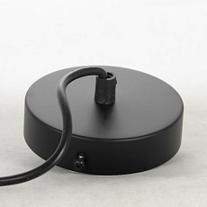 Подвесной светильник Lussole Loft Gilpin LSP-8568 2