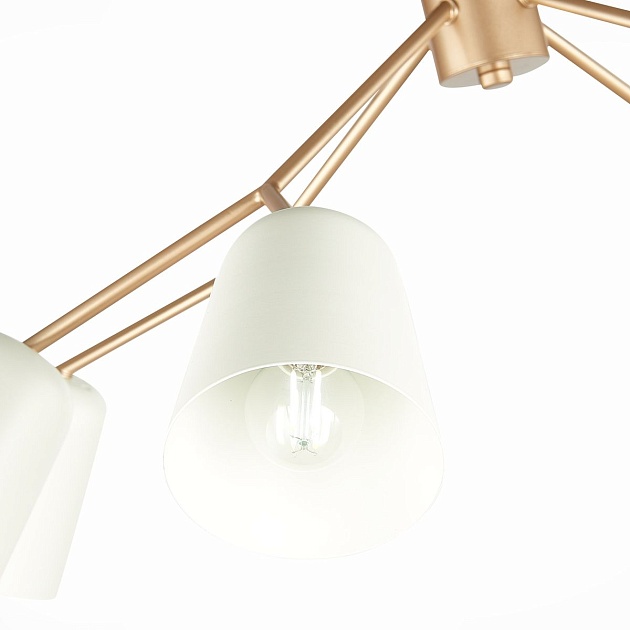 Подвесная люстра Evoluce Mario SLE155902-08 изображение 2 Подвесная люстра Evoluce Mario SLE155902-08 Фото № 2