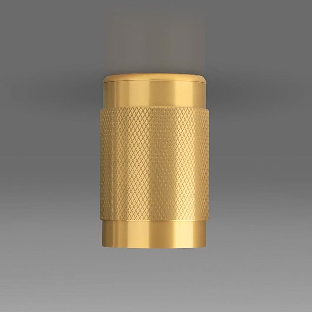 Потолочный светильник Elektrostandard Tony DLN109 GU10 золото a047741 Фото № 3