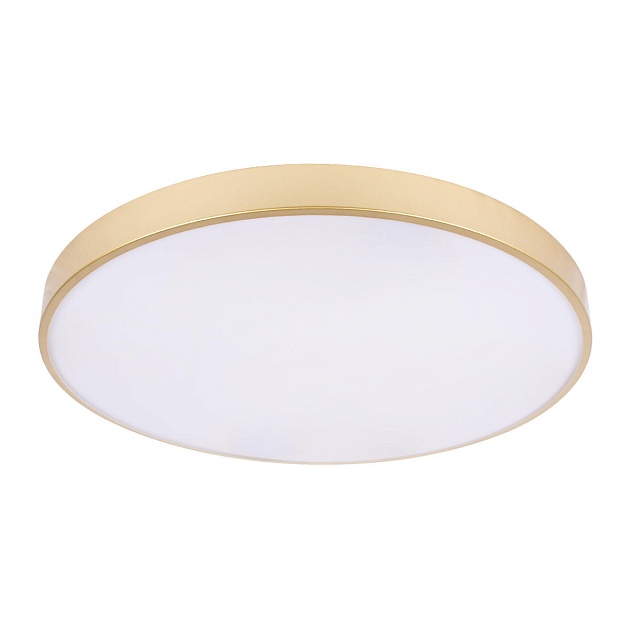 Потолочный светодиодный светильник Loft IT Flims 10228/B Фото № 2