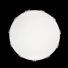 Потолочный светодиодный светильник Loft IT Axel 10006/36 white 1