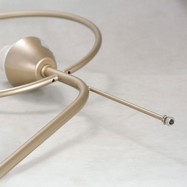 Потолочная люстра Lussole Lgo Montana LSP-8369 Фото № 5