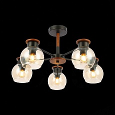 Потолочная люстра Evoluce Rasco SLE108102-05 3