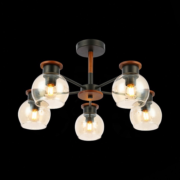 Потолочная люстра Evoluce Rasco SLE108102-05 изображение 4 Потолочная люстра Evoluce Rasco SLE108102-05 Фото № 4