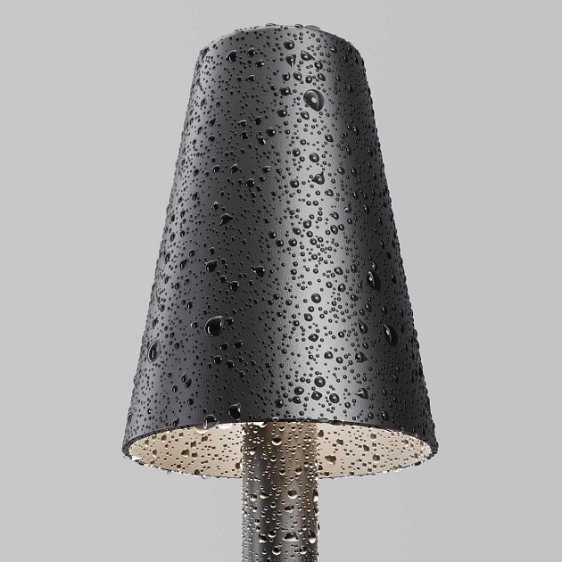 Ландшафтный светильник Maytoni Outdoor O504FL-L1B3K Фото № 4