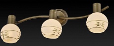 Спот Toplight Sharleen TL3790Y-03AB 1