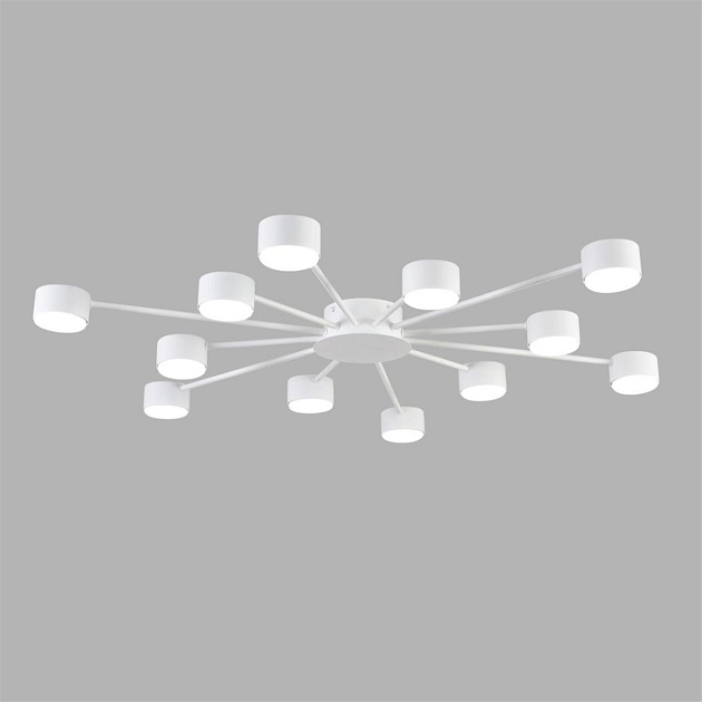 Люстра Lumion COMFI 8343/12C изображение 2 Люстра Lumion COMFI 8343/12C Фото № 2