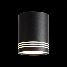 Потолочный светодиодный светильник ST Luce Cerione ST101.402.12 1