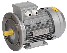 Электродвигатель асинхронный трехфазный АИР 63A2 380В 0,37кВт 3000об/мин 2081 DRIVE IEK DRV063-A2-000-4-3020