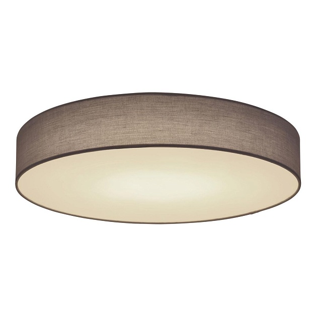 Потолочный светодиодный светильник Globo Sanna 15585D2 изображение 1 Потолочный светодиодный светильник Globo Sanna 15585D2 Фото № 1