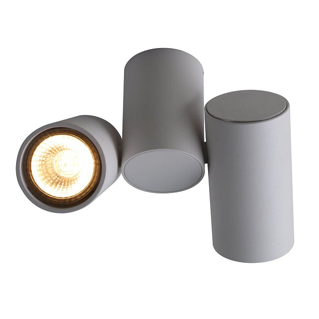 Потолочный светильник Divinare Gavroche 1354/03 PL-2 изображение 1 Потолочный светильник Divinare Gavroche 1354/03 PL-2 Фото № 1