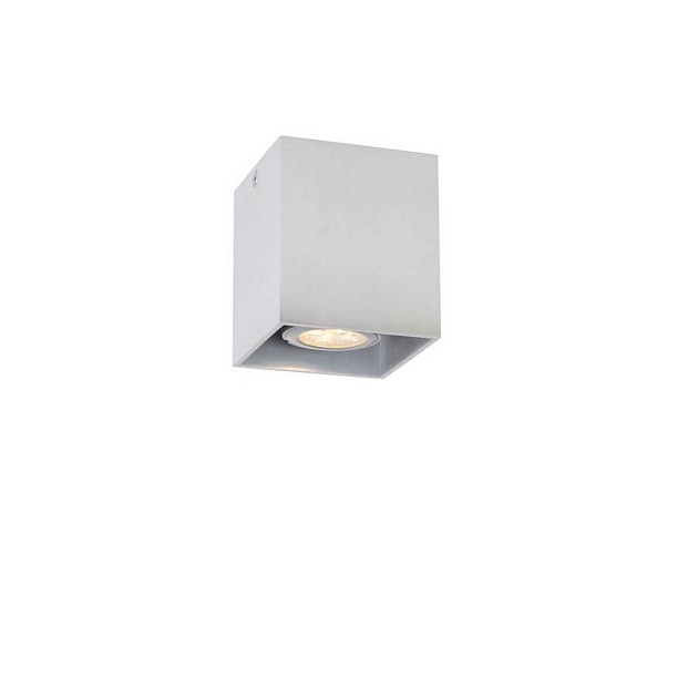 Потолочный светильник Lucide Bodi 09101/01/12 Фото № 1