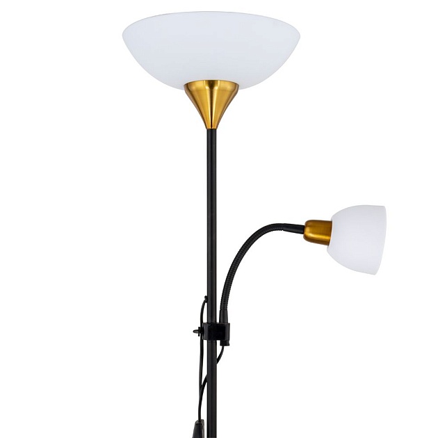 Торшер Arte Lamp Duetto A9569PN-2BK изображение 5 Торшер Arte Lamp Duetto A9569PN-2BK Фото № 5