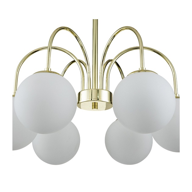 Потолочная люстра Indigo VOGA 13017/6R Gold V000325 Фото № 3