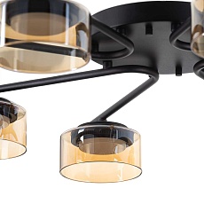 Потолочная люстра Citilux Espace CL243181 2
