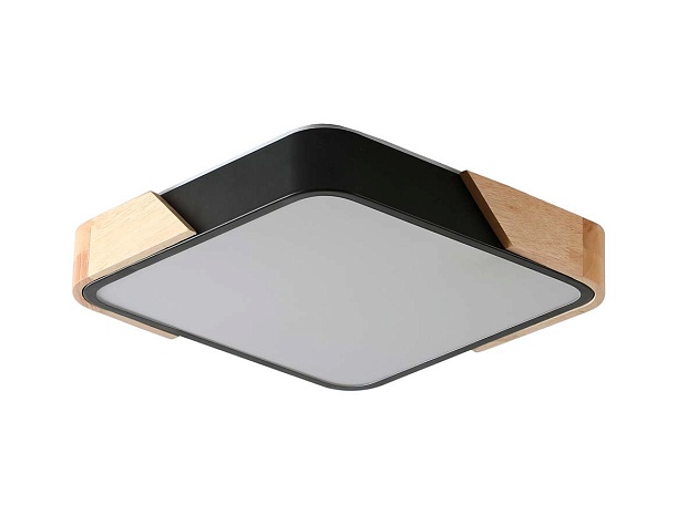 Потолочный светильник Zortes ALBERRO ZRS.01281.24 Фото № 5