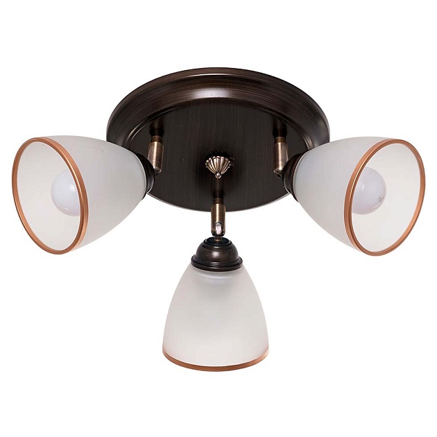 Спот ЭкономСвет 11645/3WENGE WT Фото № 1