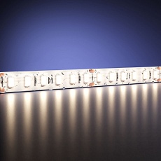 Светодиодная влагозащищенная лента Maytoni 9,6W/m 120LED/m 2835SMD дневной белый 5M 201043