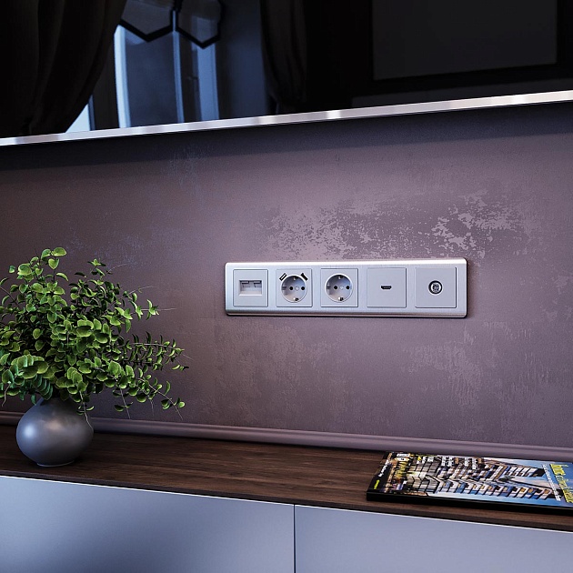 Розетка HDMI Werkel серебряный WL06-60-11 4690389110993 изображение 4 Розетка HDMI Werkel серебряный WL06-60-11 4690389110993 Фото № 4