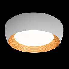 Потолочный светильник Loft IT Folk 10255/500 White 5